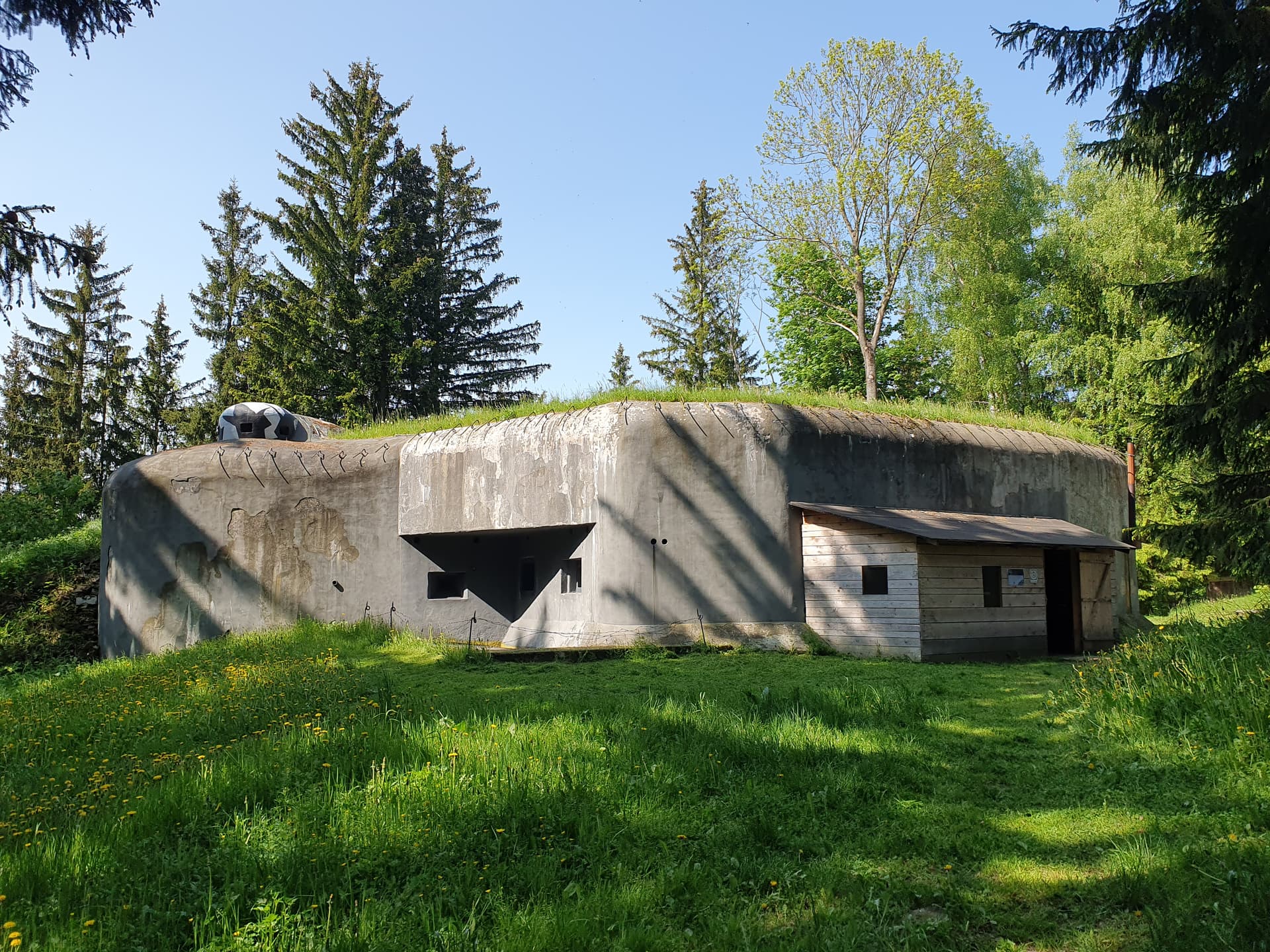 20230527_154640.jpg